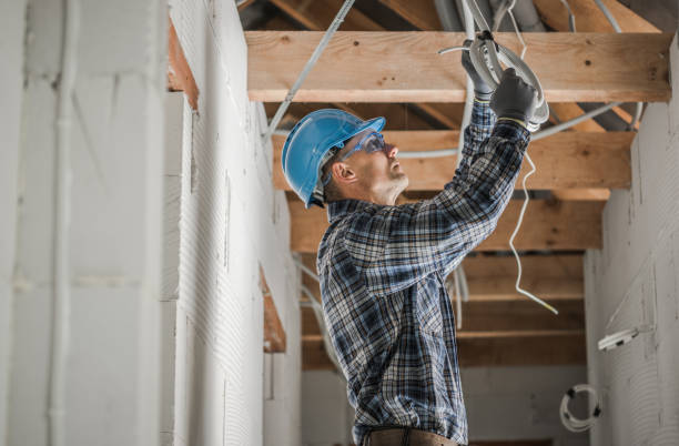 Best Electric Panel Repair  in Osceola, IN